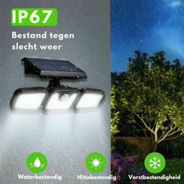 LumiGuard™ Solar