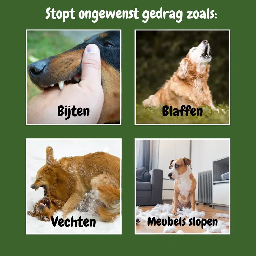 SilentPet