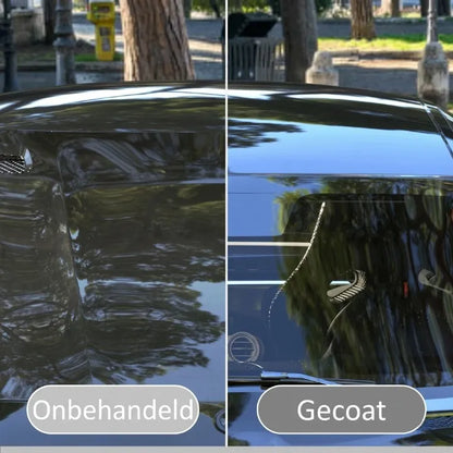 ShineGuard™ Auto Coating Spray